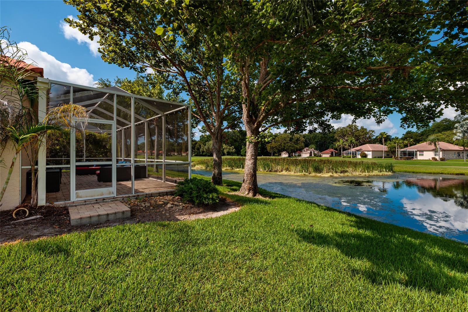 1338 DARTFORD DR, TARPON SPRINGS, FL — photo 50