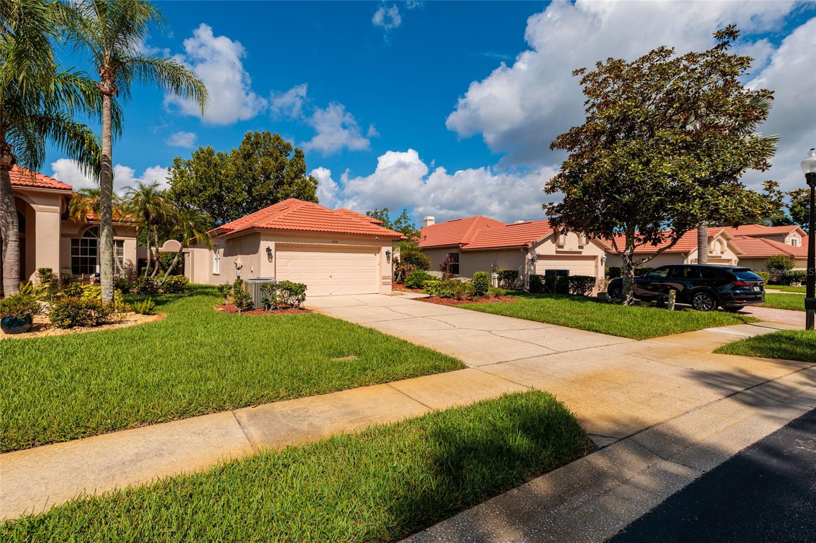 1338 DARTFORD DR, TARPON SPRINGS, FL — photo 53