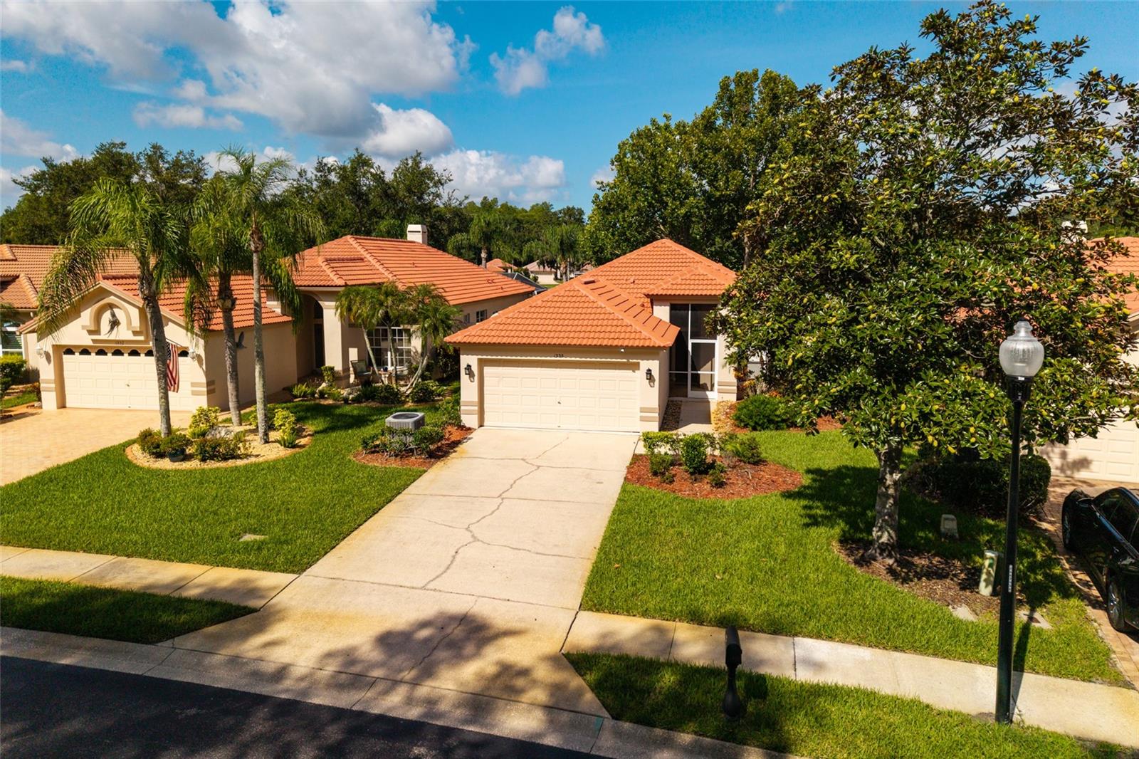 1338 DARTFORD DR, TARPON SPRINGS, FL — photo 54