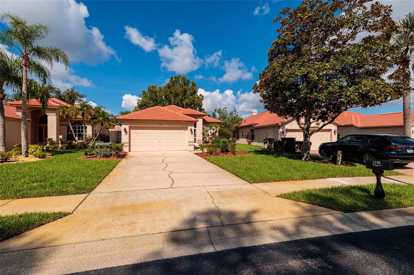 1338 DARTFORD DR, TARPON SPRINGS, FL — photo 55