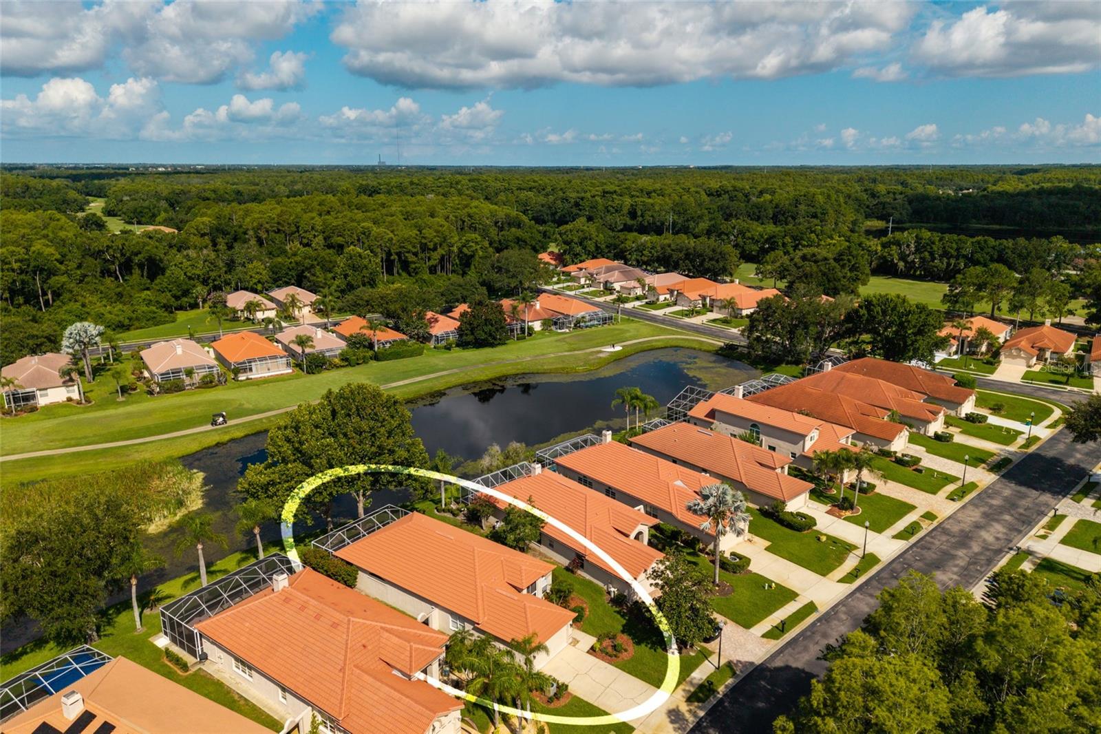 1338 DARTFORD DR, TARPON SPRINGS, FL — photo 60