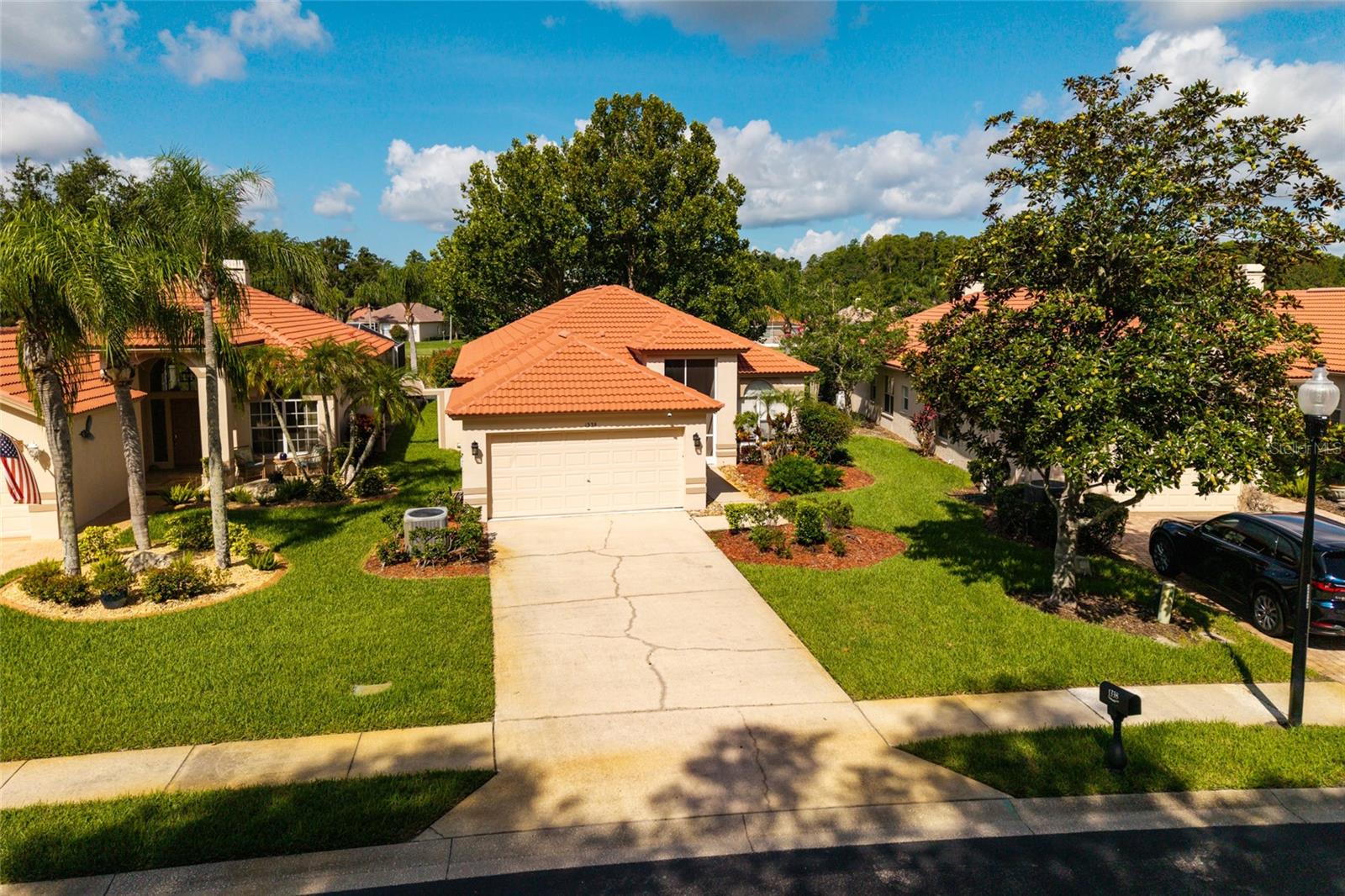 1338 DARTFORD DR, TARPON SPRINGS, FL — photo 86