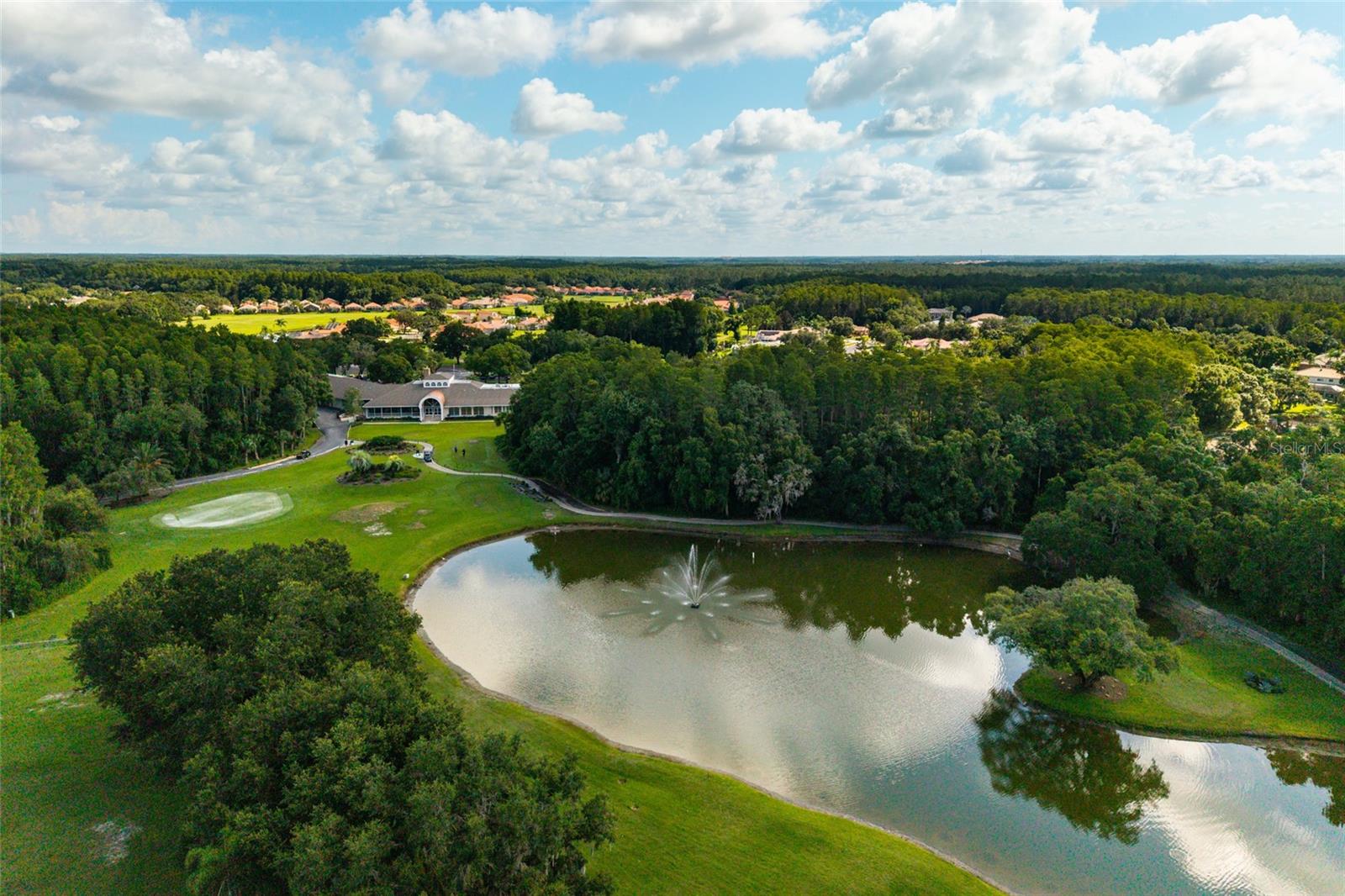 1338 DARTFORD DR, TARPON SPRINGS, FL — photo 89