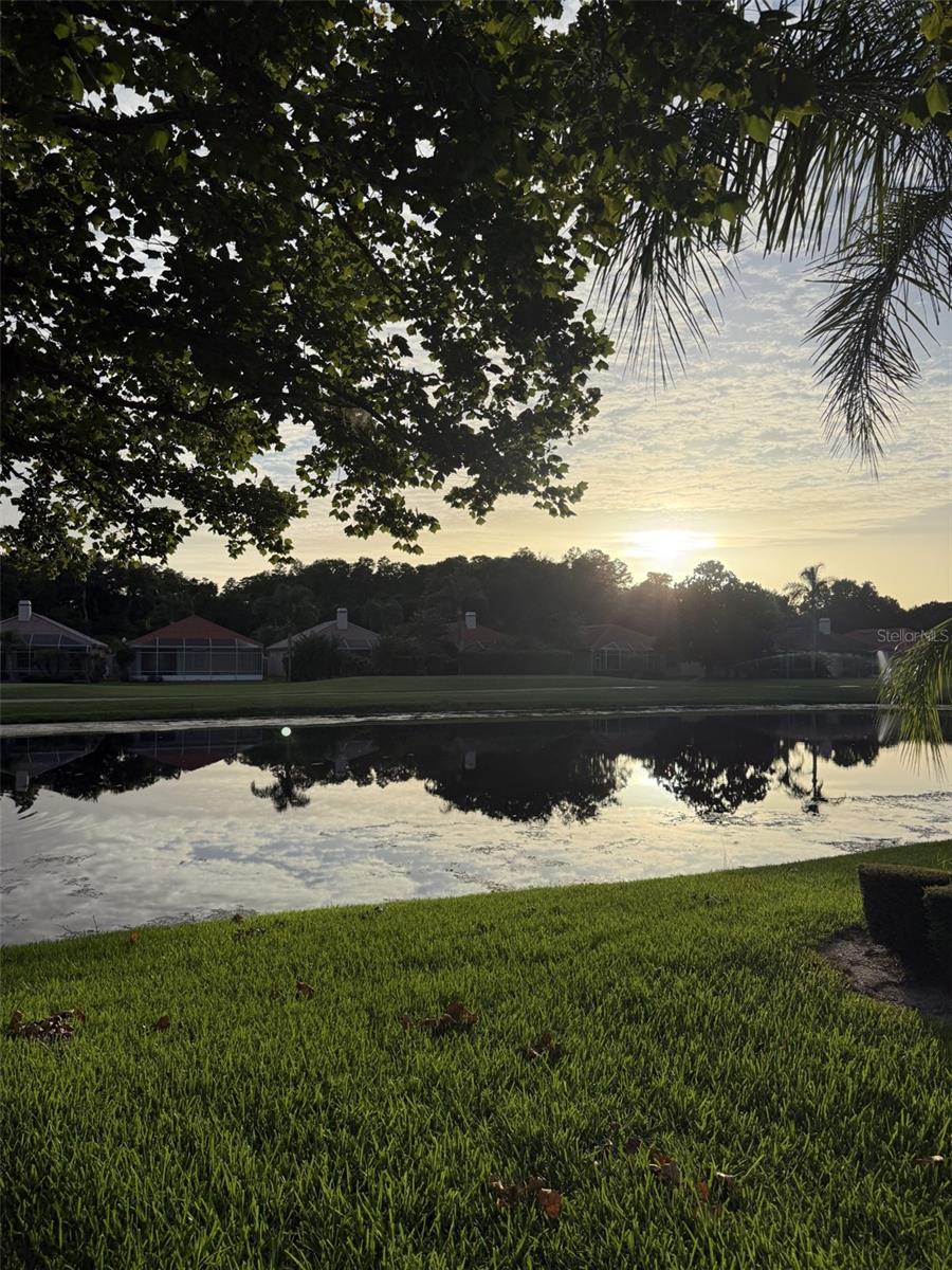 1338 DARTFORD DR, TARPON SPRINGS, FL — photo 2