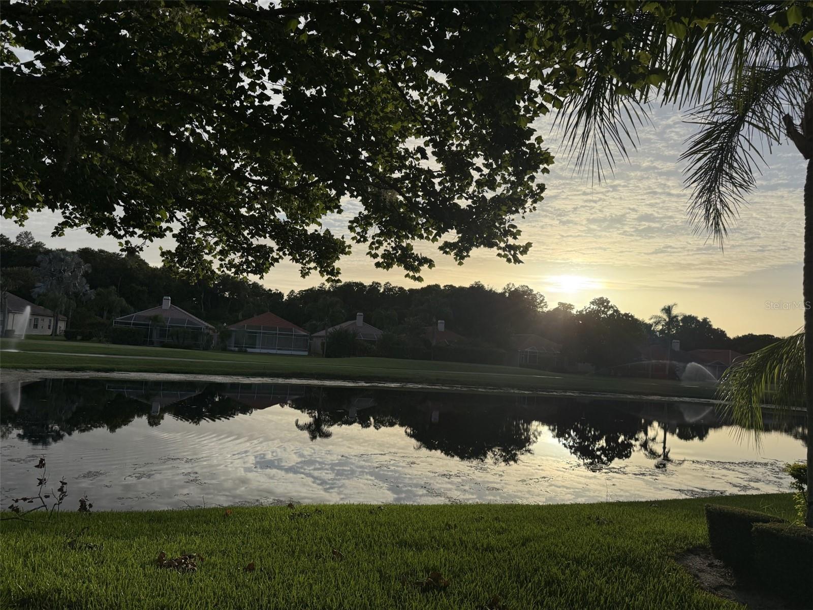 1338 DARTFORD DR, TARPON SPRINGS, FL — photo 31