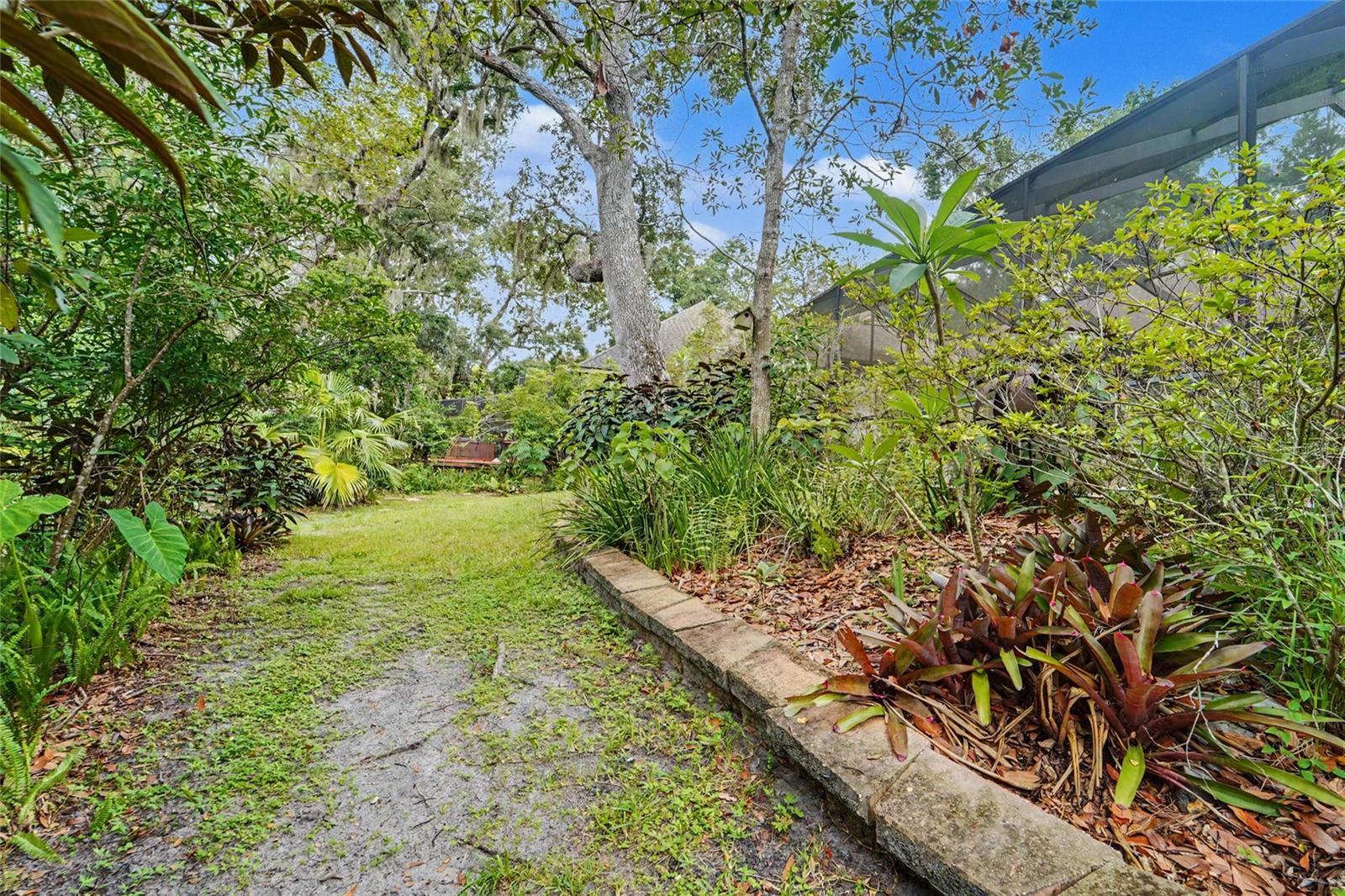 3408 ARCADIA DR, PALM HARBOR, FL — photo 42