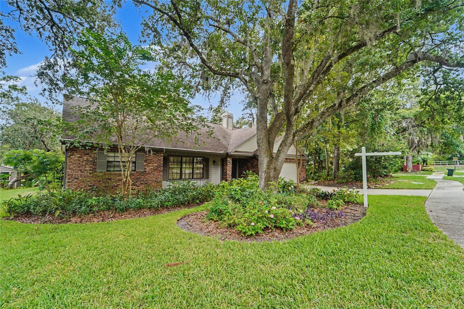 3408 ARCADIA DR, PALM HARBOR, FL — photo 49