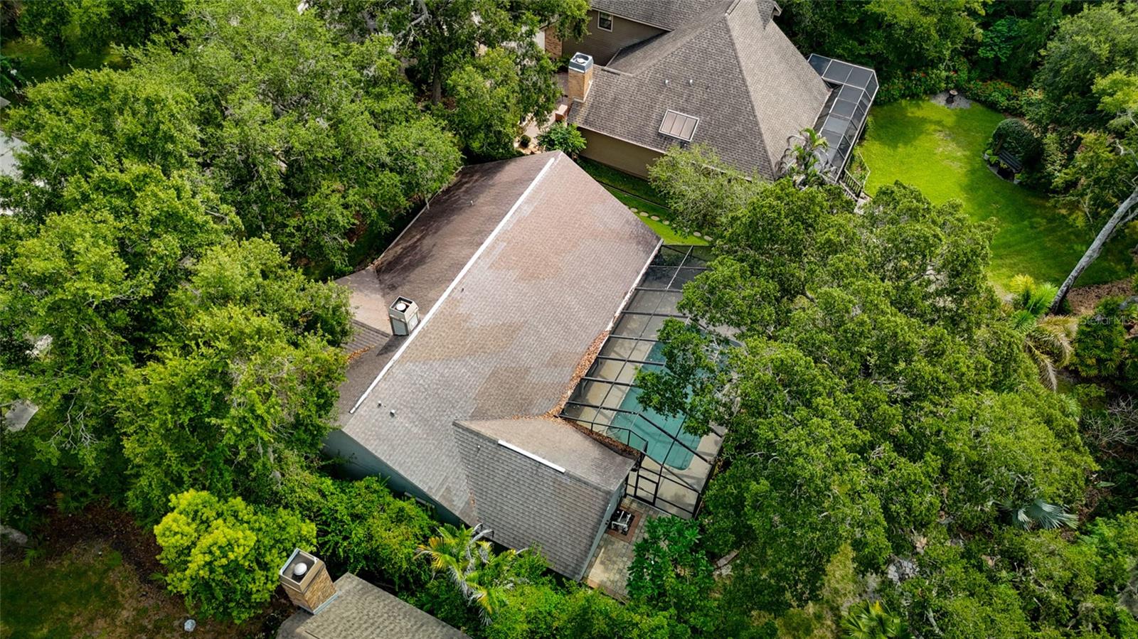 3408 ARCADIA DR, PALM HARBOR, FL — photo 51