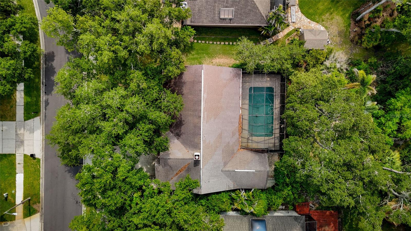 3408 ARCADIA DR, PALM HARBOR, FL — photo 52