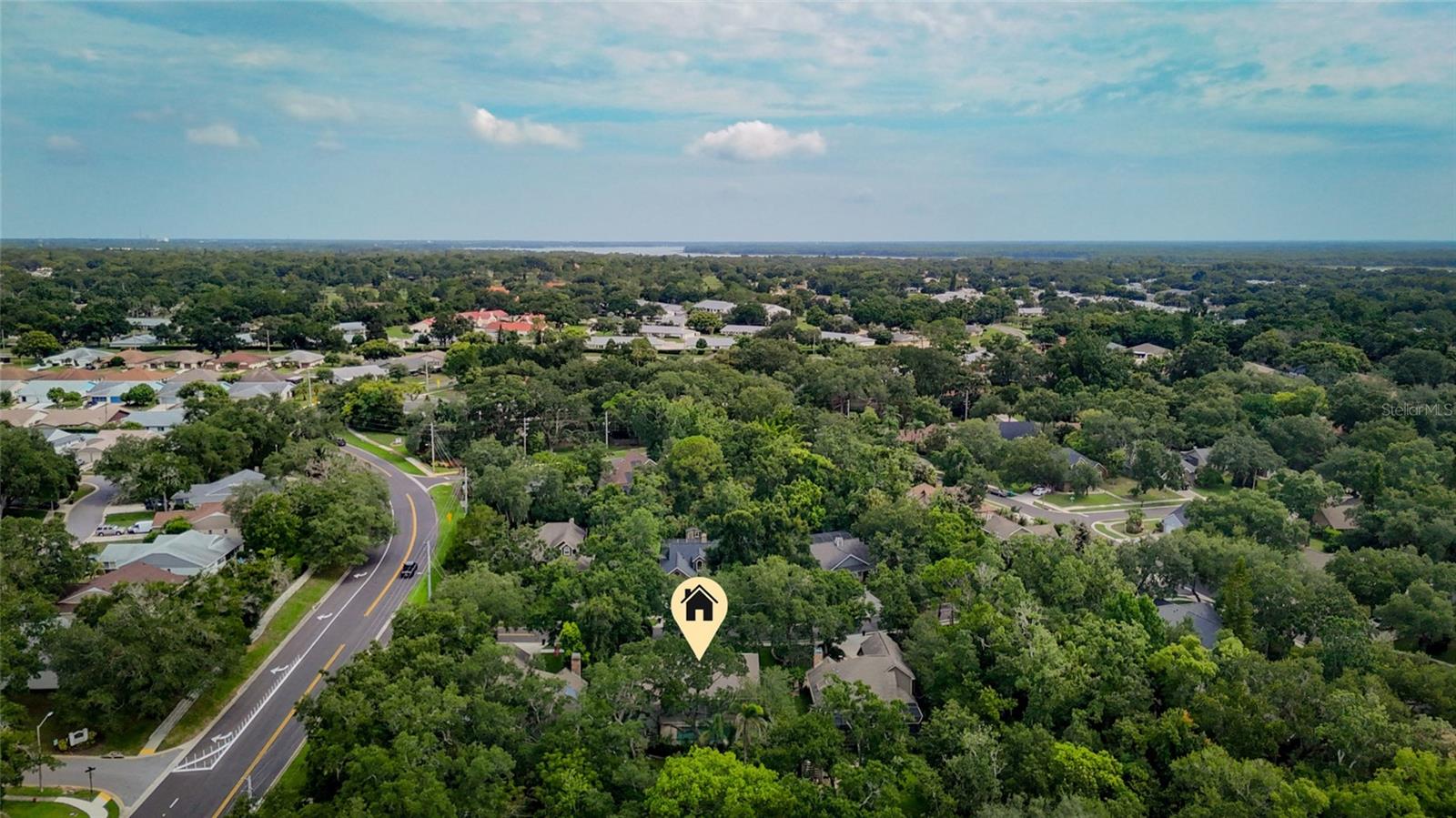 3408 ARCADIA DR, PALM HARBOR, FL — photo 54