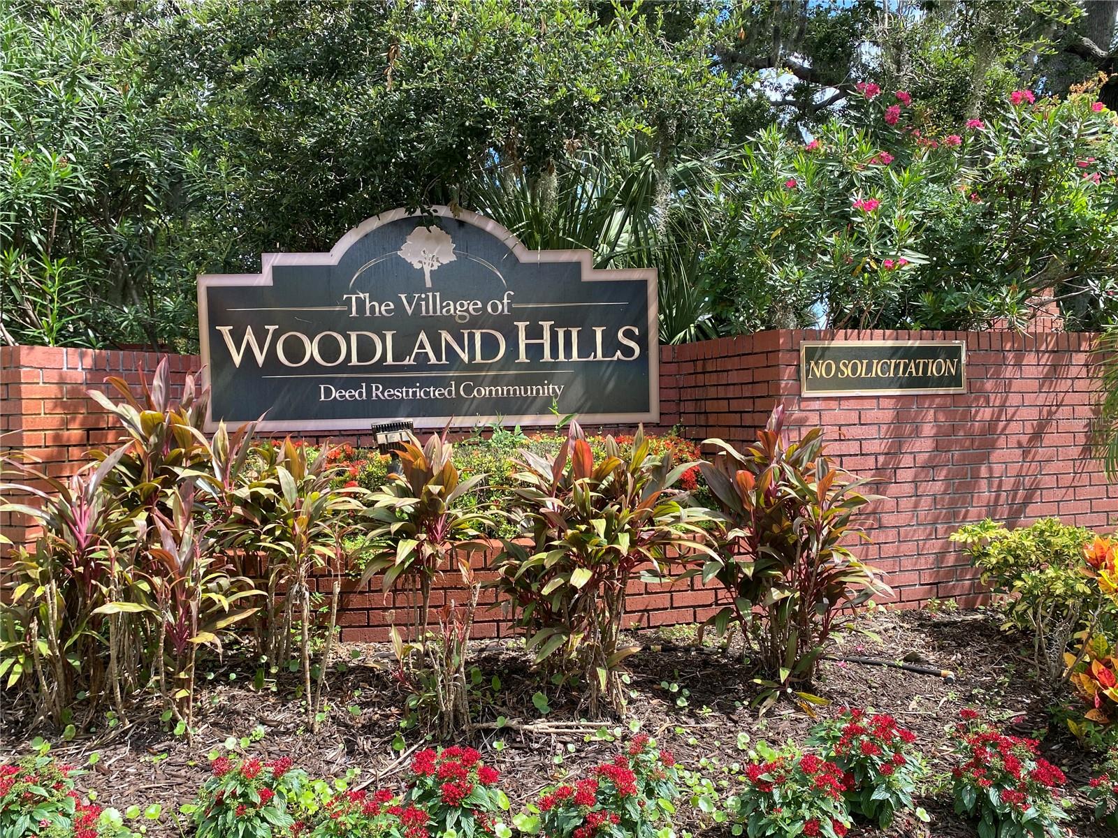 3408 ARCADIA DR, PALM HARBOR, FL — photo 57