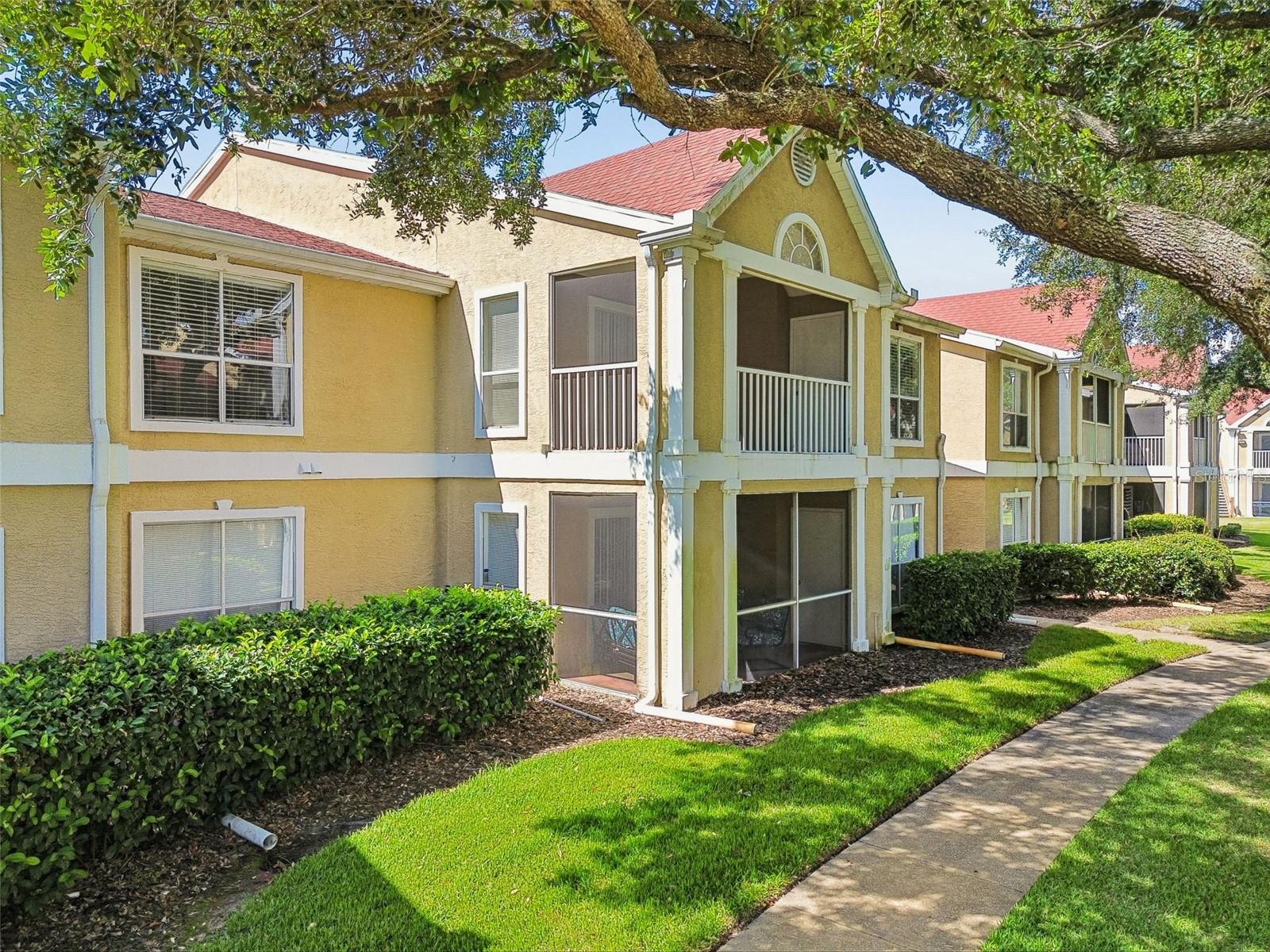 9481 HIGHLAND OAK DR #814, TAMPA, FL — photo 49