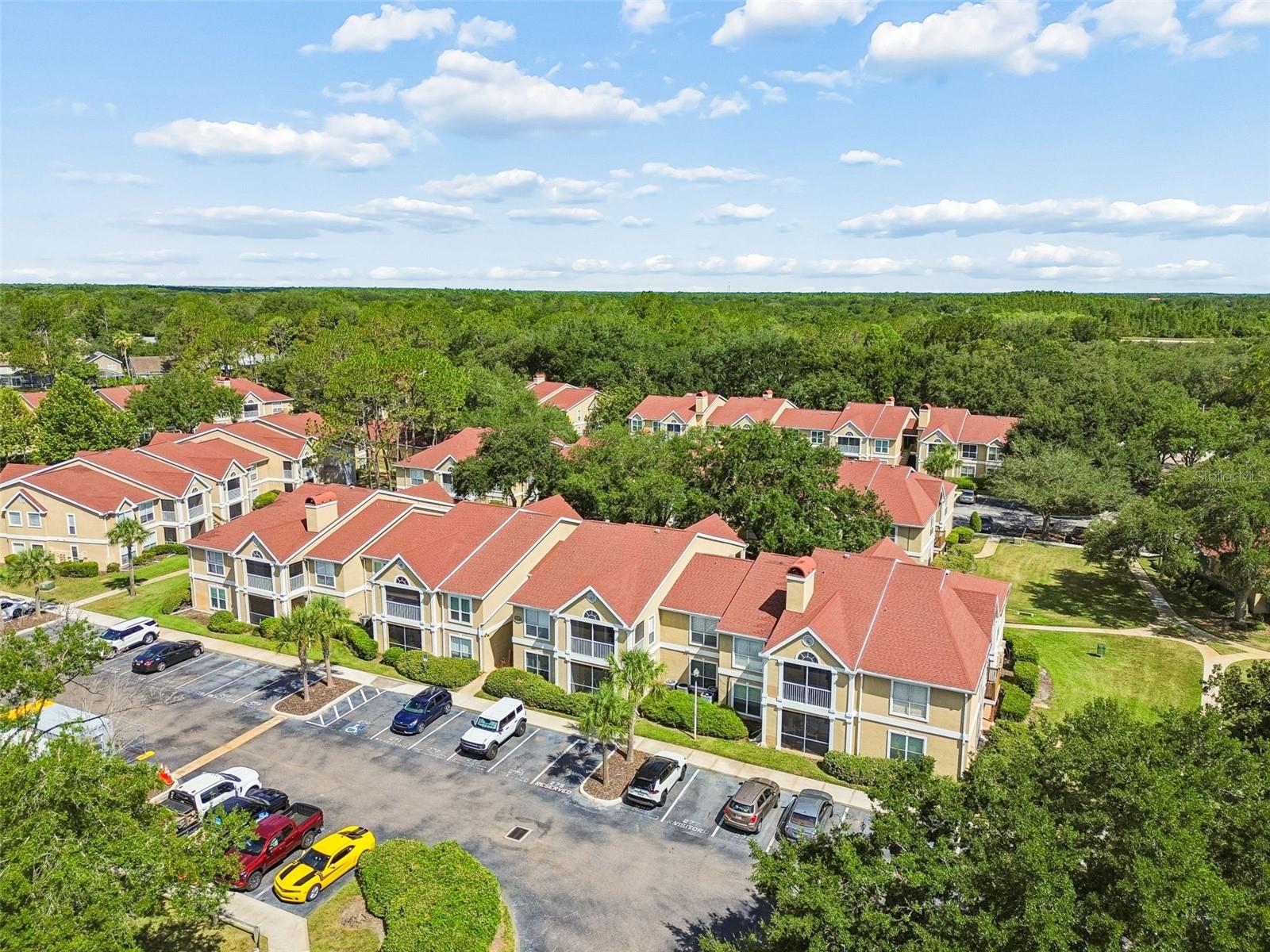 9481 HIGHLAND OAK DR #814, TAMPA, FL — photo 51