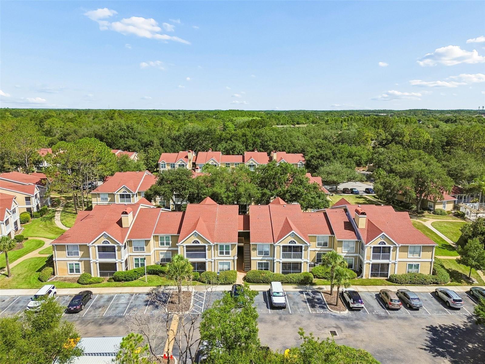 9481 HIGHLAND OAK DR #814, TAMPA, FL — photo 52