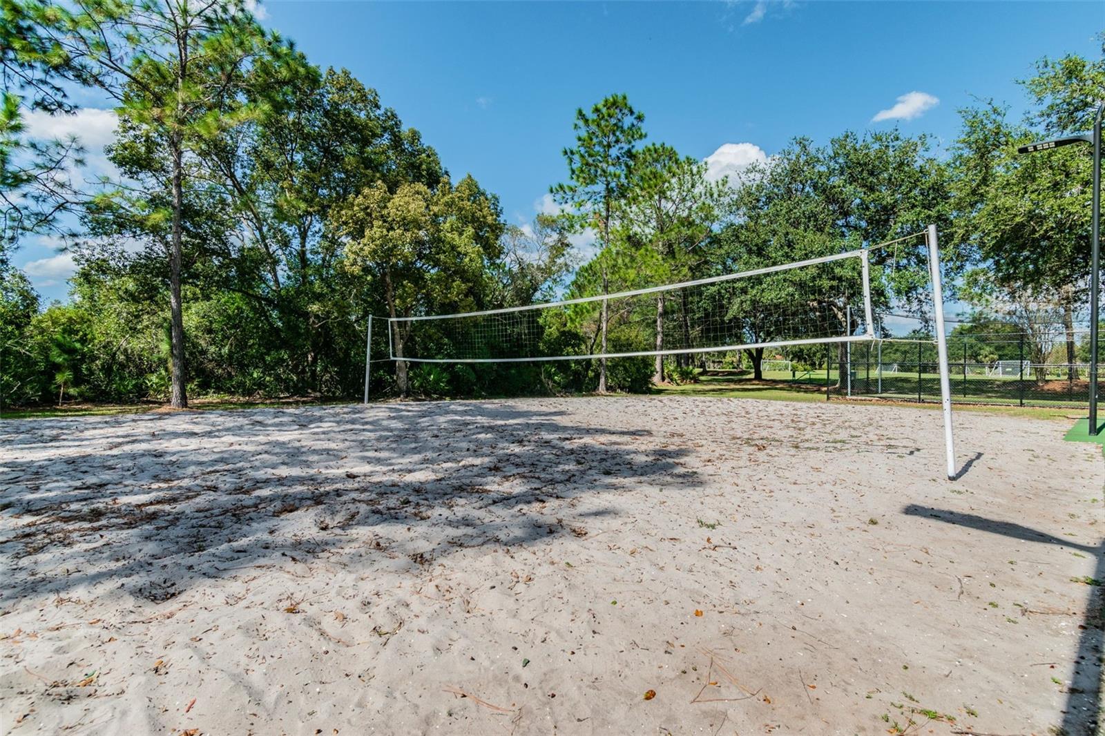 9481 HIGHLAND OAK DR #814, TAMPA, FL — photo 62