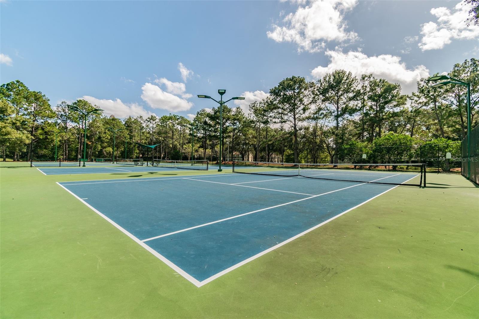 9481 HIGHLAND OAK DR #814, TAMPA, FL — photo 64