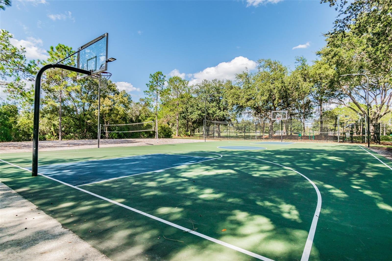 9481 HIGHLAND OAK DR #814, TAMPA, FL — photo 65