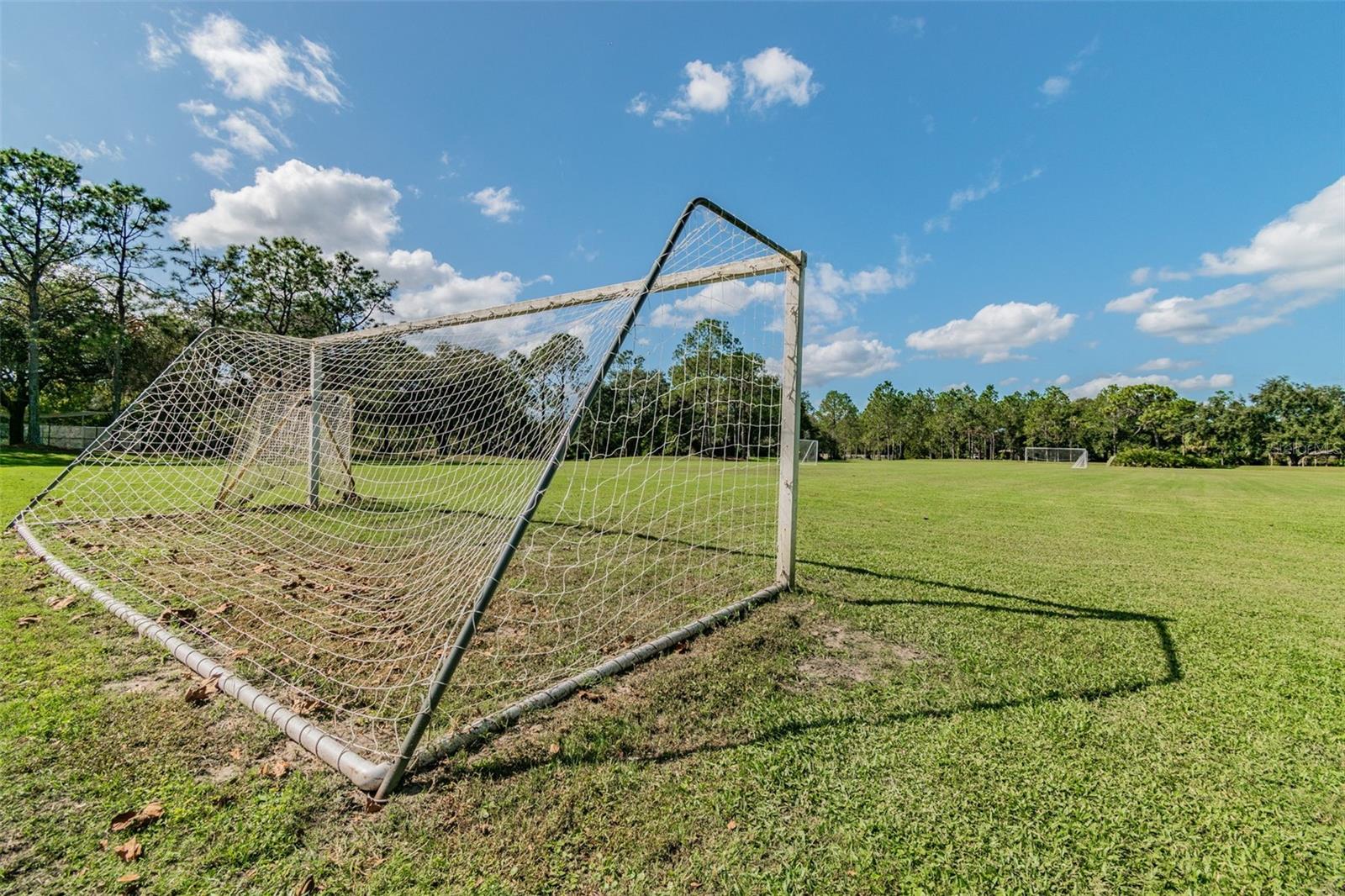 9481 HIGHLAND OAK DR #814, TAMPA, FL — photo 67