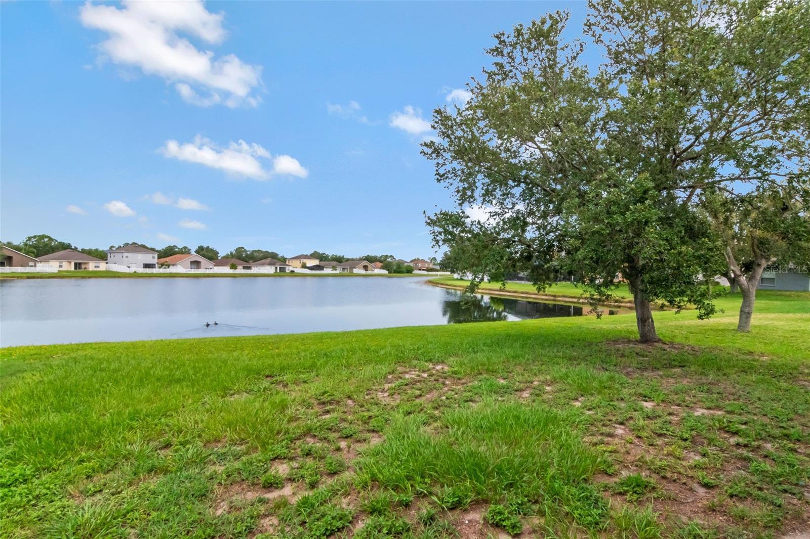 2313 LAWRENCE HALL ST, RUSKIN, FL — photo 22