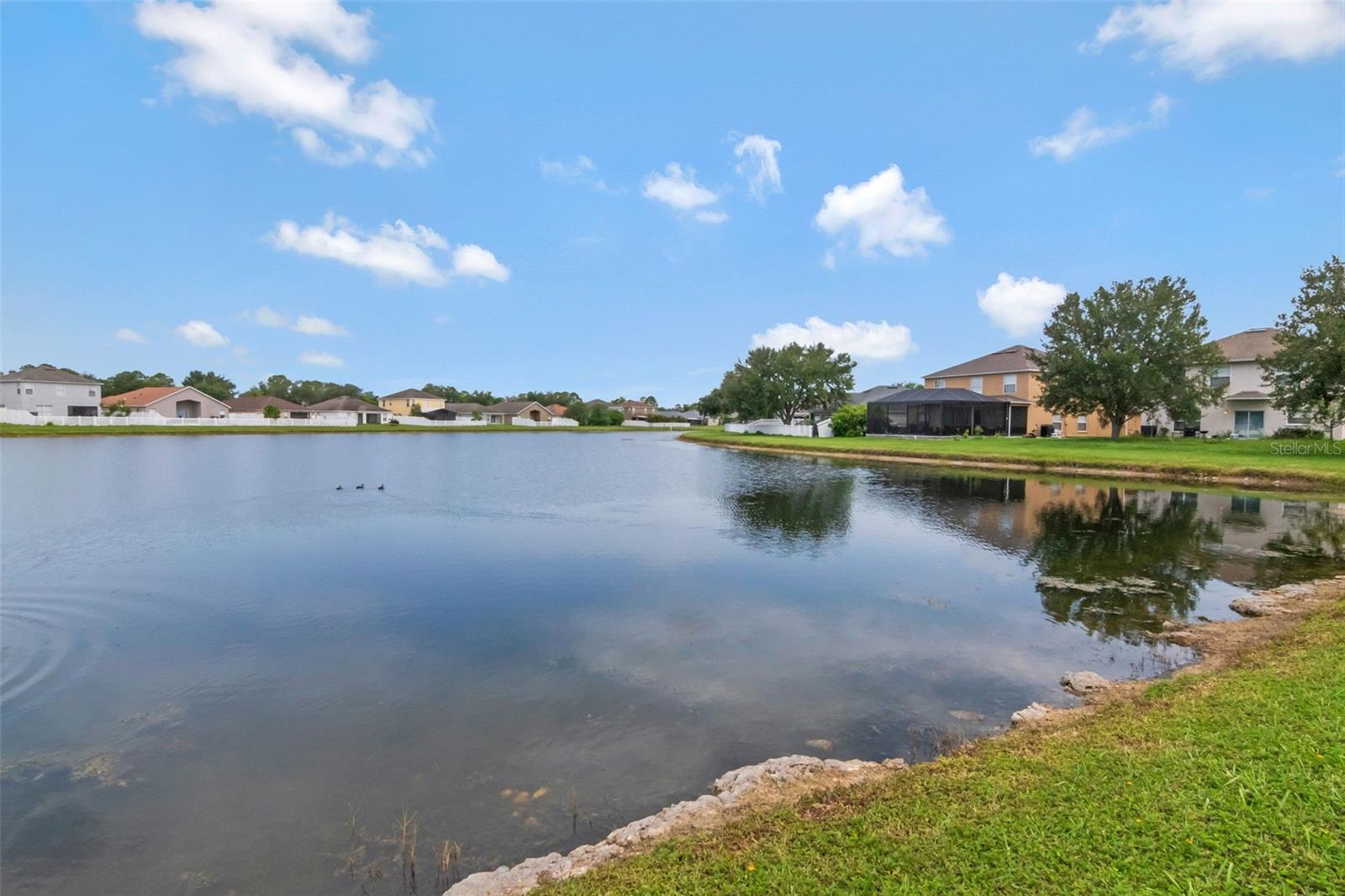 2313 LAWRENCE HALL ST, RUSKIN, FL — photo 24