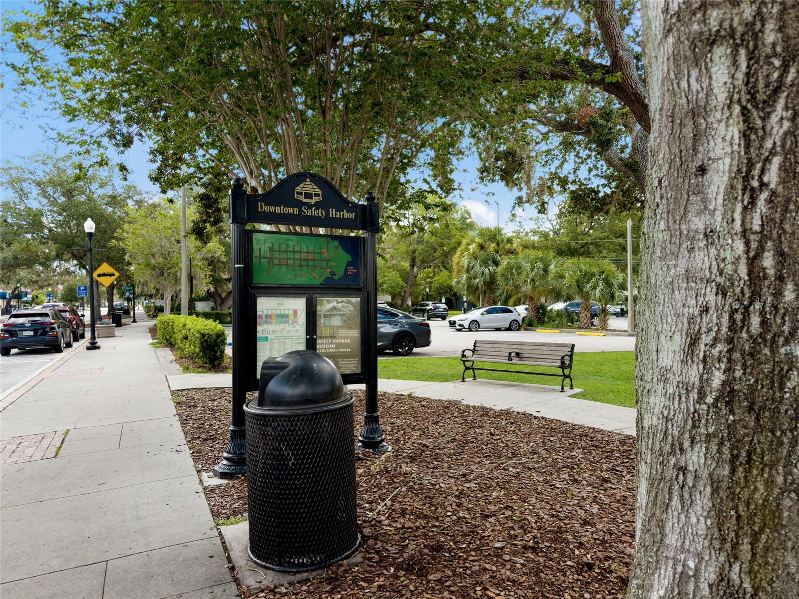 645 PINE ST, SAFETY HARBOR, FL — photo 29