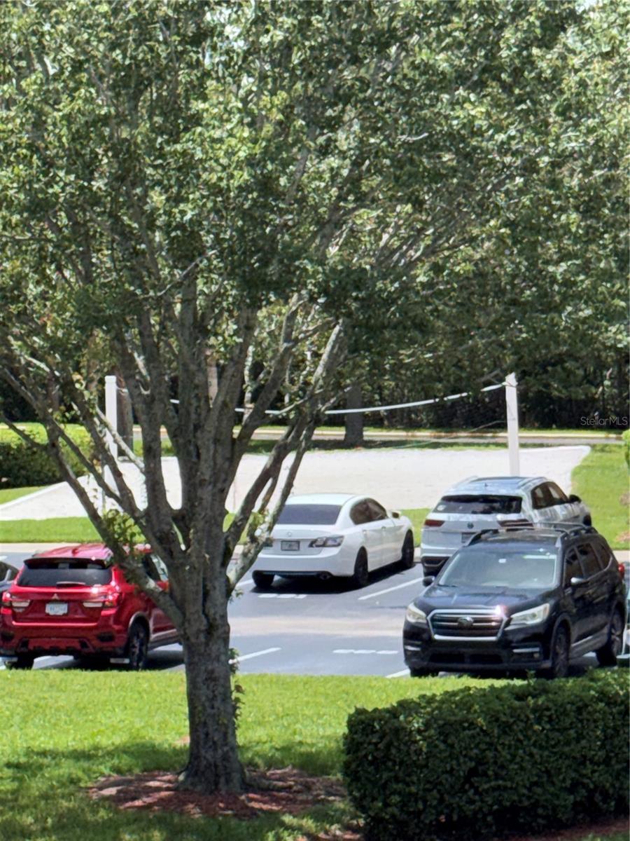 3621 CONROY RD #720, ORLANDO, FL — photo 44