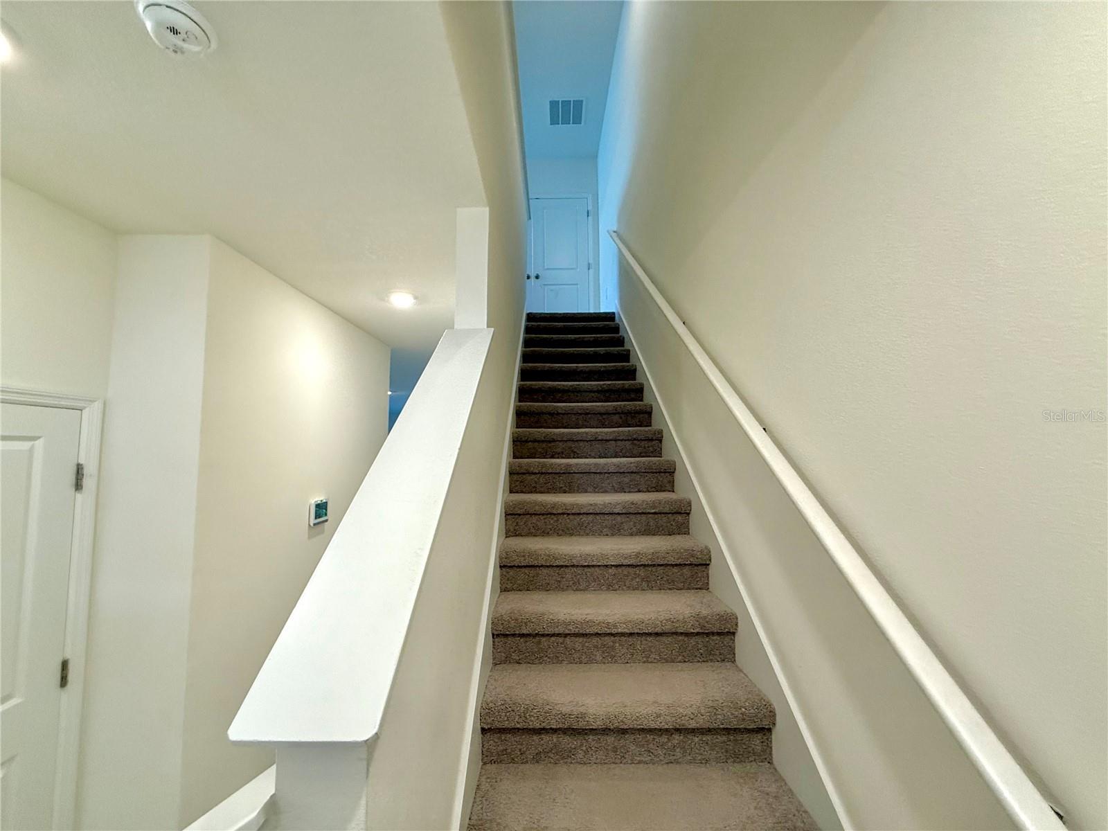 34309 SORREL MINT DR, WESLEY CHAPEL, FL — photo 10