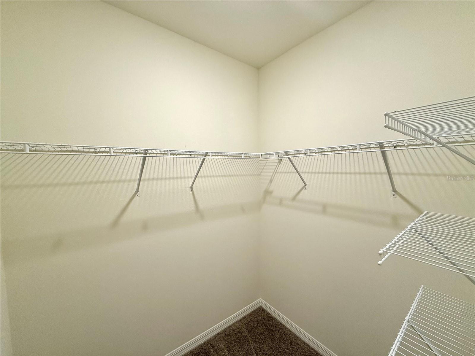 34309 SORREL MINT DR, WESLEY CHAPEL, FL — photo 15
