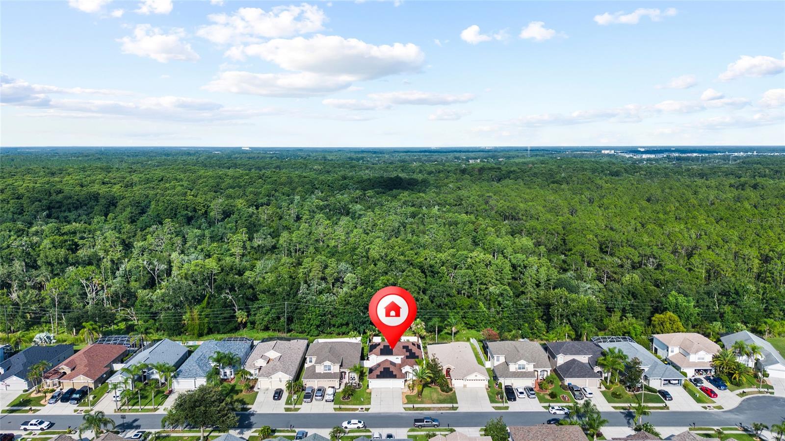 3602 MORGANS BLUFF CT, LAND O LAKES, FL — photo 53