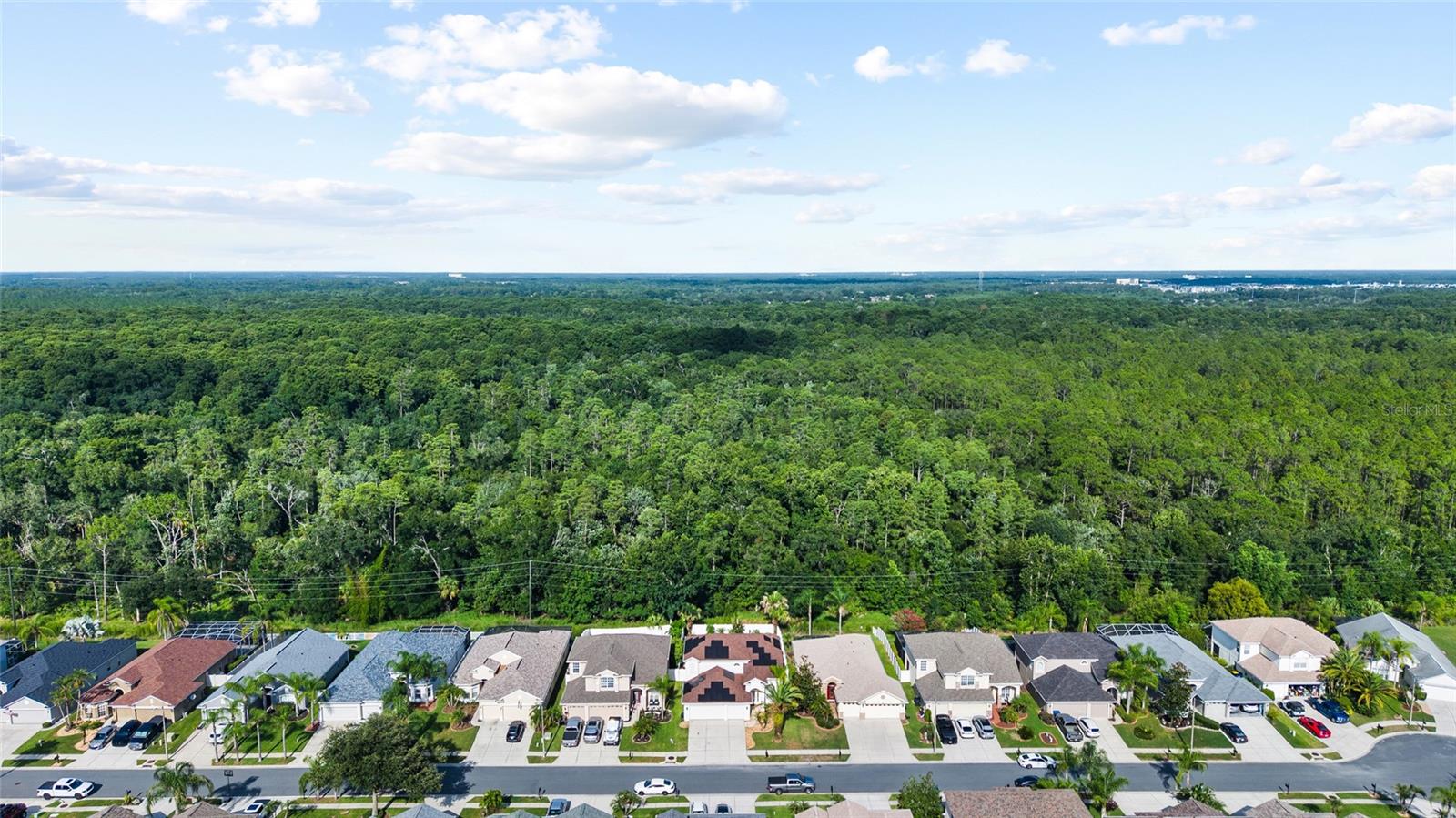 3602 MORGANS BLUFF CT, LAND O LAKES, FL — photo 54