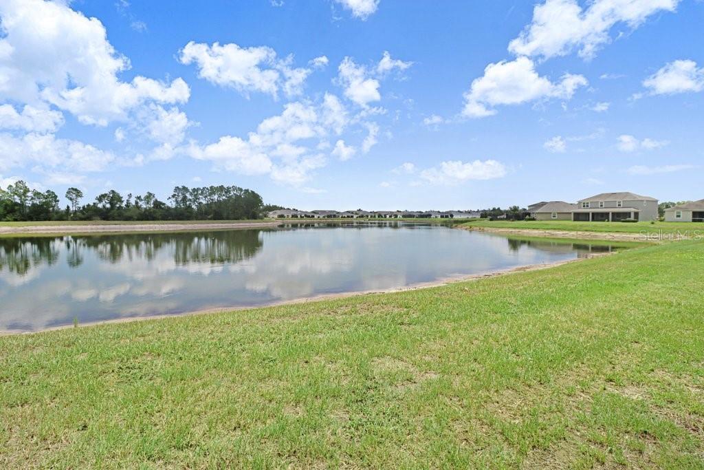 11520 BLUE WOODS DR, RIVERVIEW, FL — photo 3