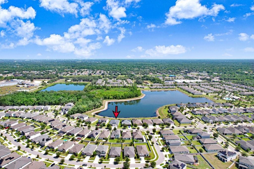11520 BLUE WOODS DR, RIVERVIEW, FL — photo 40