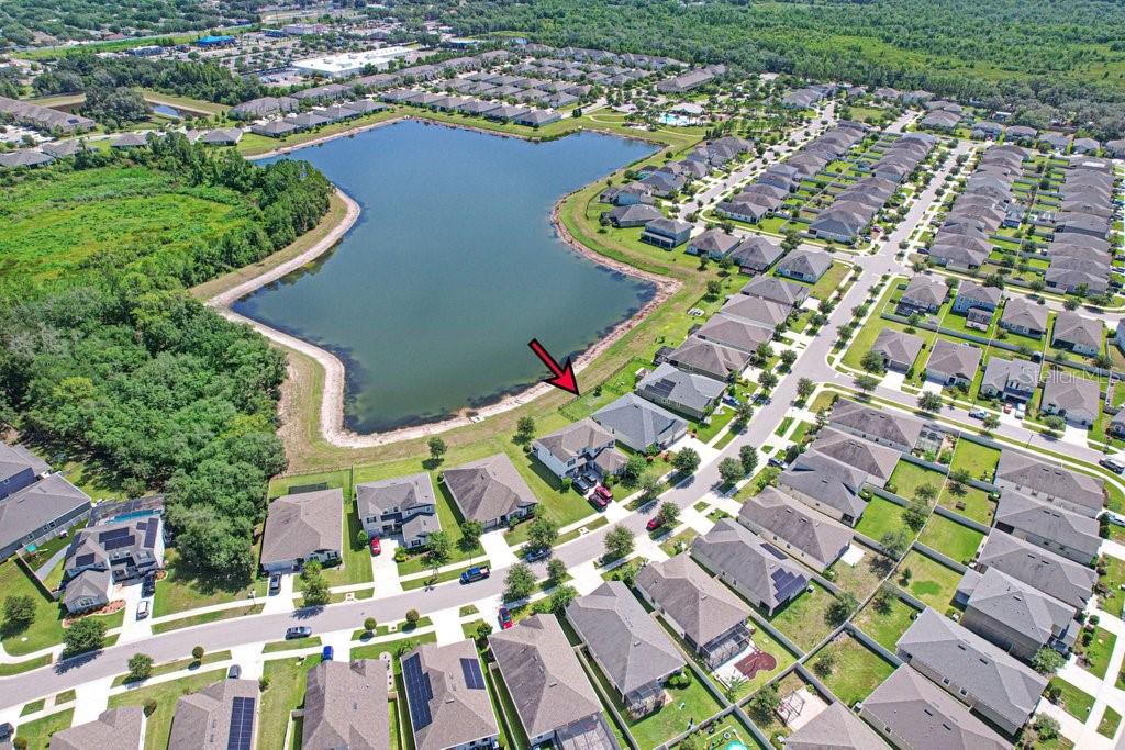 11520 BLUE WOODS DR, RIVERVIEW, FL — photo 41