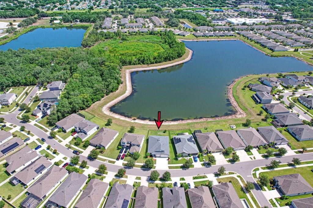 11520 BLUE WOODS DR, RIVERVIEW, FL — photo 42