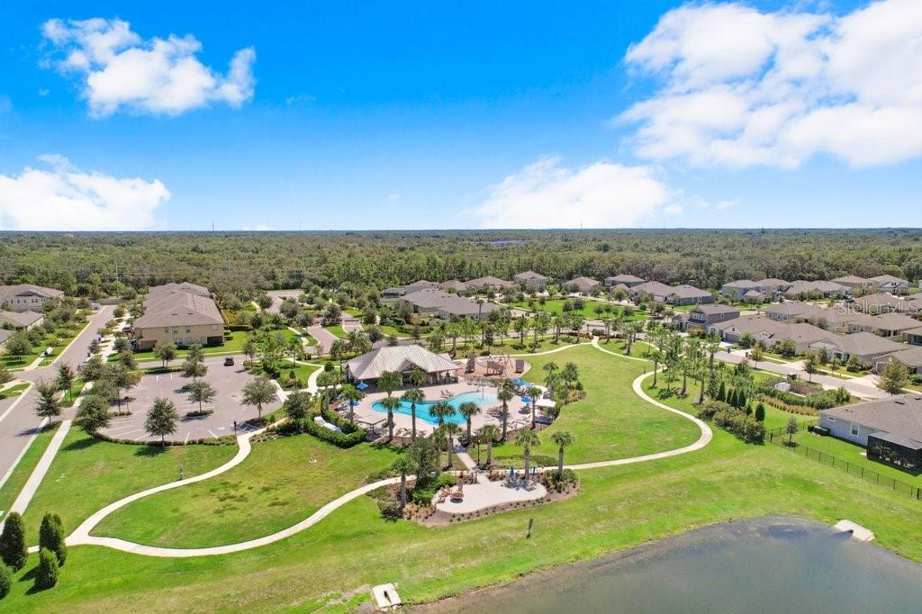 11520 BLUE WOODS DR, RIVERVIEW, FL — photo 43