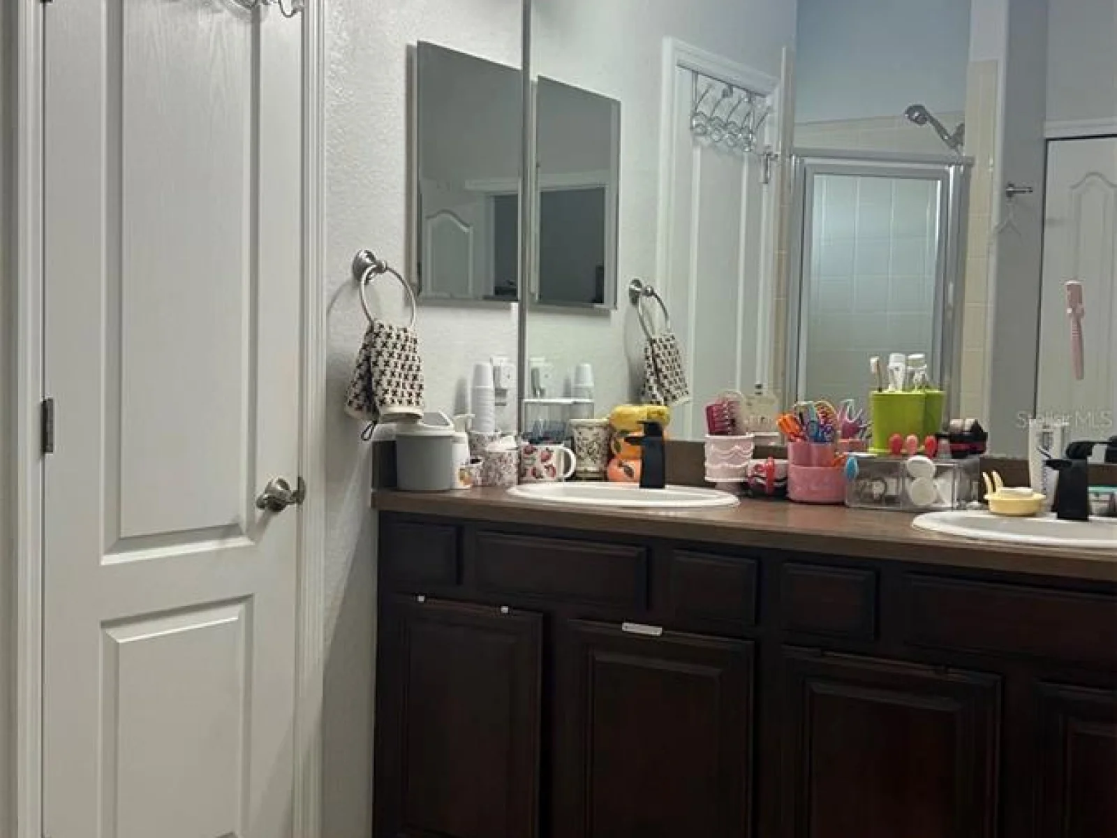 17334 PROMENADE DR, CLERMONT, FL — photo 9