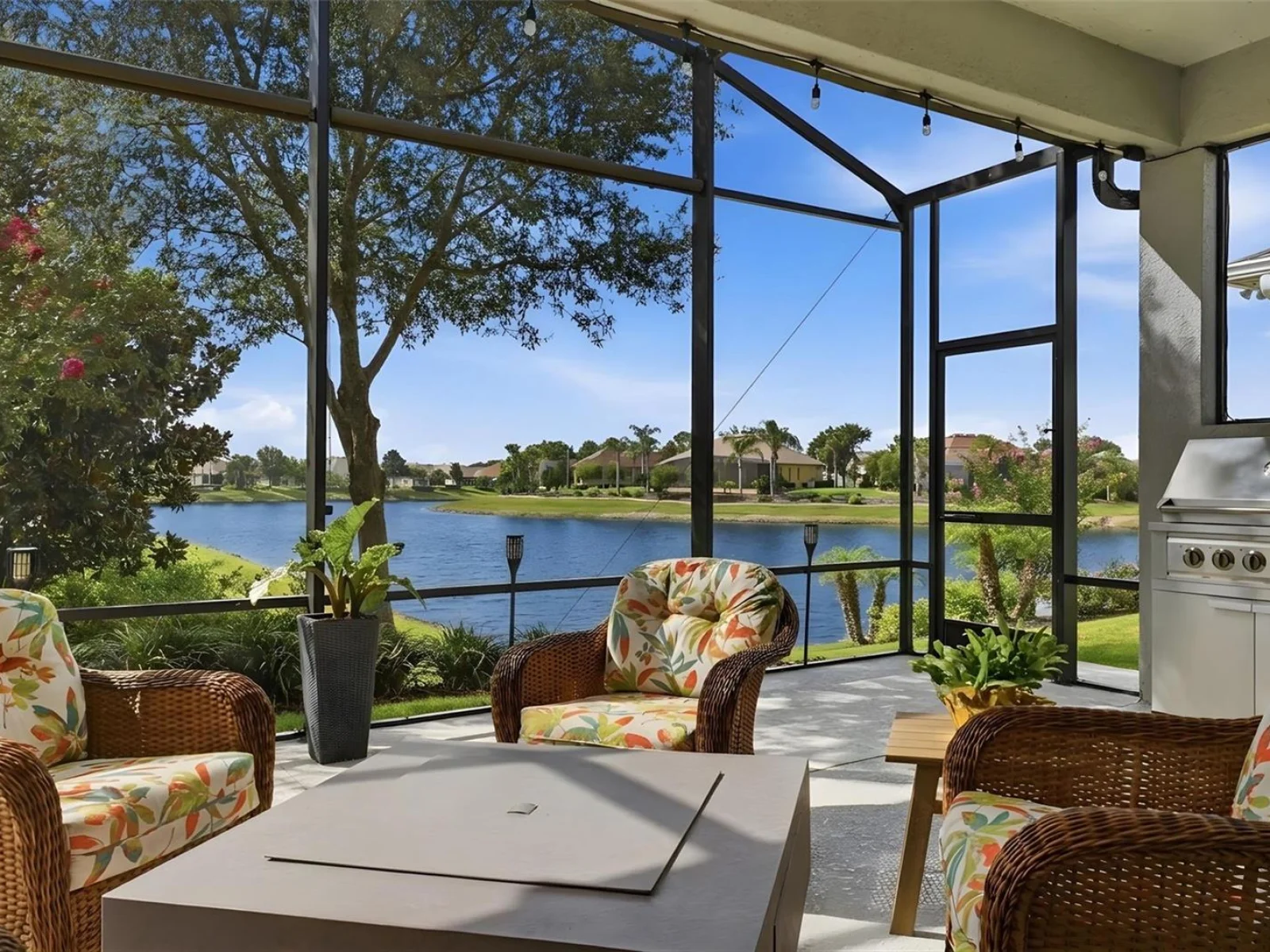 8707 PROVIDENCE CT, MOUNT DORA, FL — photo 44