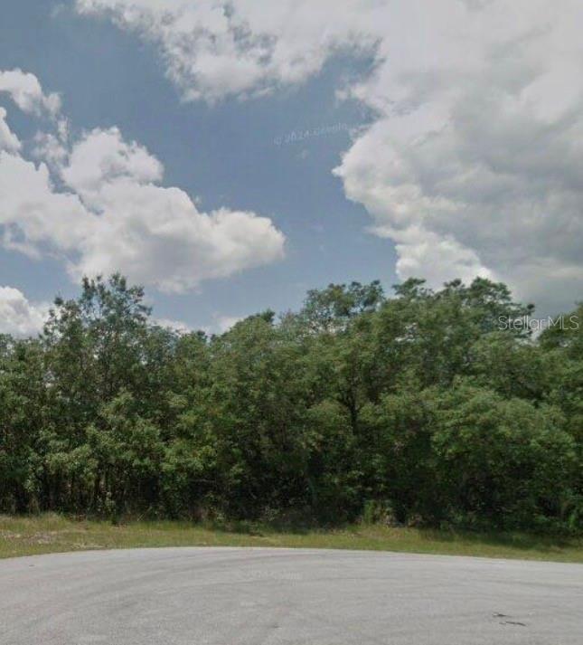 204 KINGFISH WAY, POINCIANA, FL