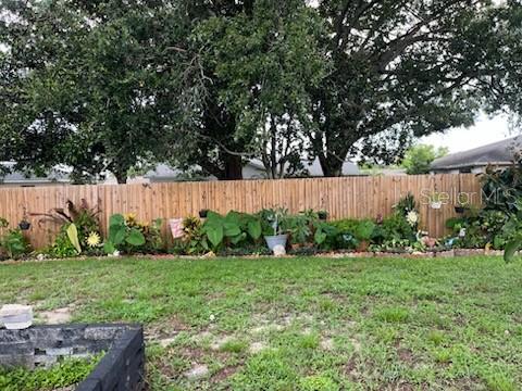 3419 PALOMA DR, HOLIDAY, FL — photo 12