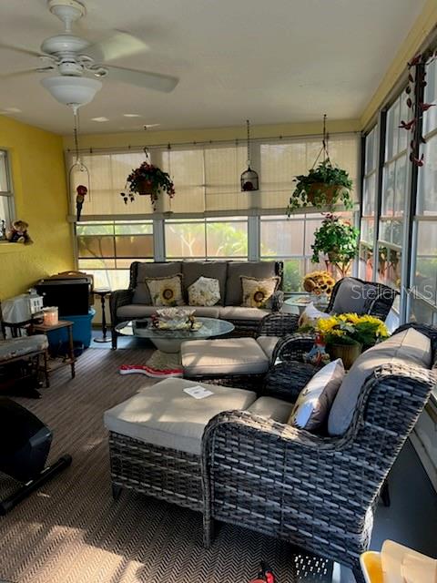 3419 PALOMA DR, HOLIDAY, FL — photo 16