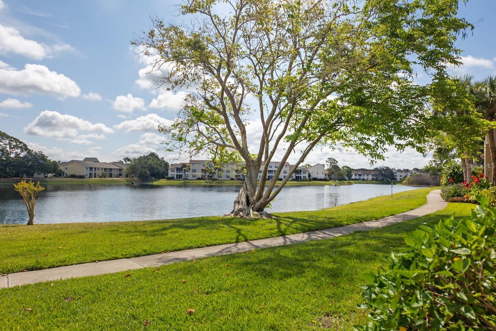 4045 CROCKERS LAKE BLVD #11, SARASOTA, FL — photo 24