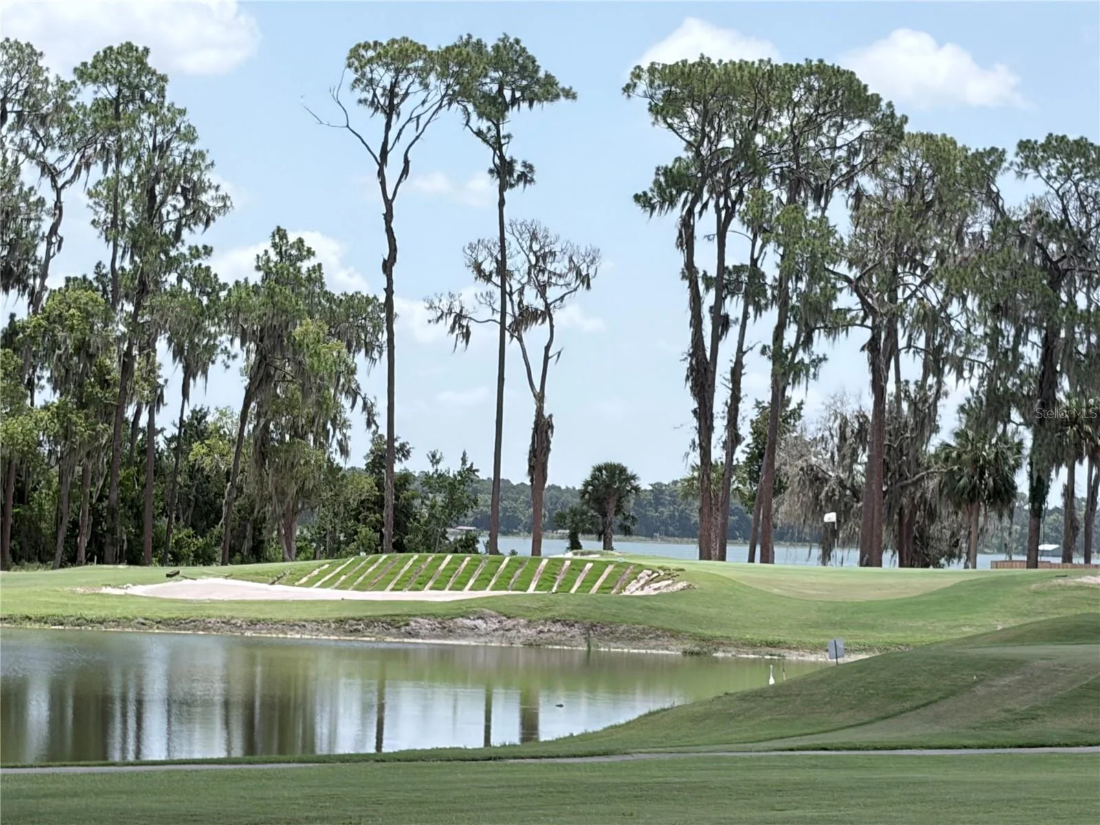 30418 ISLAND CLUB DR, DEER ISLAND, FL — photo 43