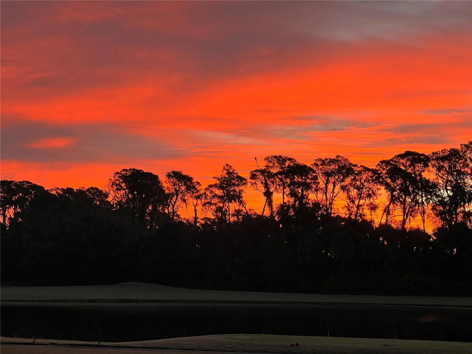 30418 ISLAND CLUB DR, DEER ISLAND, FL — photo 48