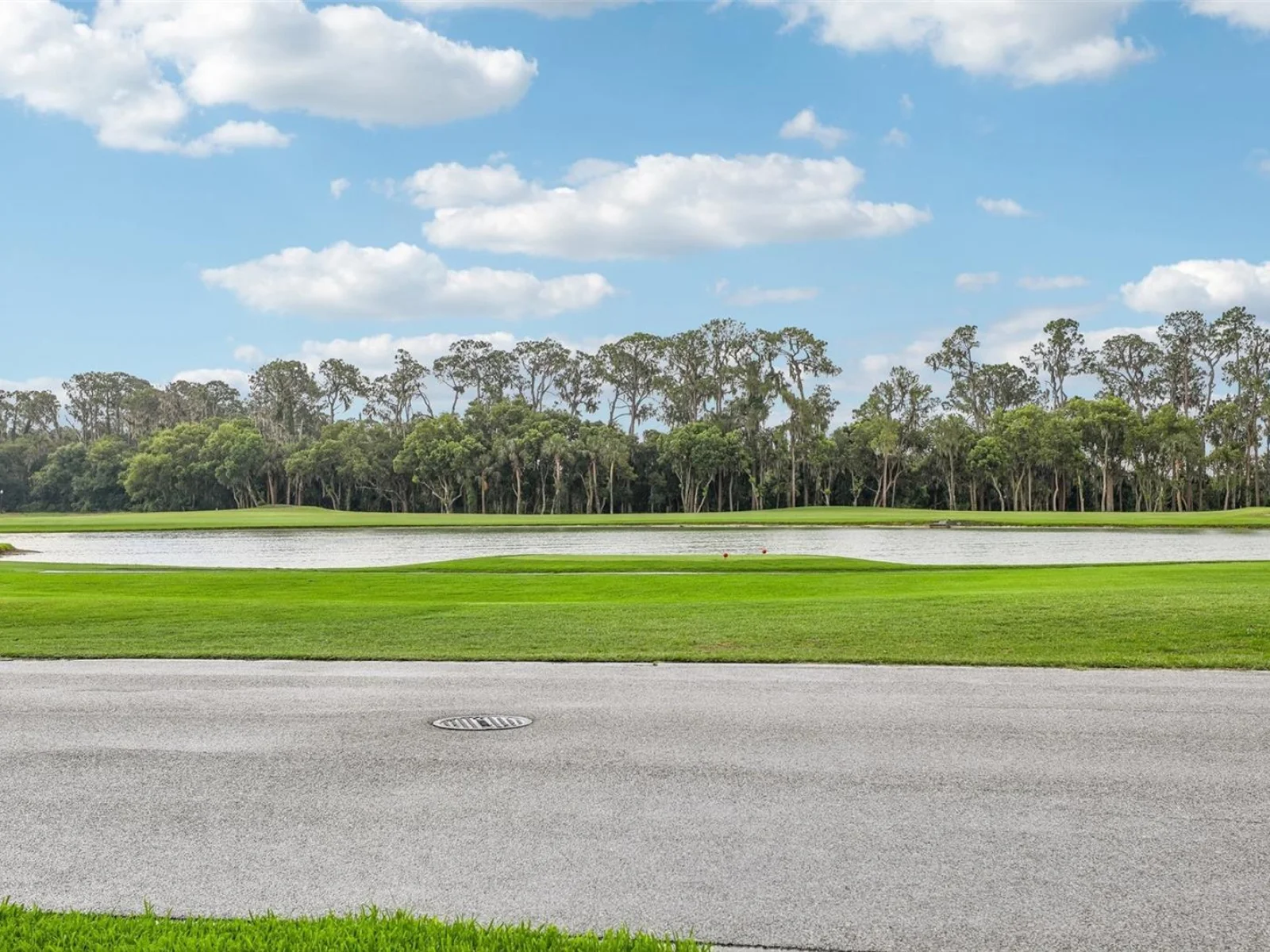 30418 ISLAND CLUB DR, DEER ISLAND, FL — photo 31