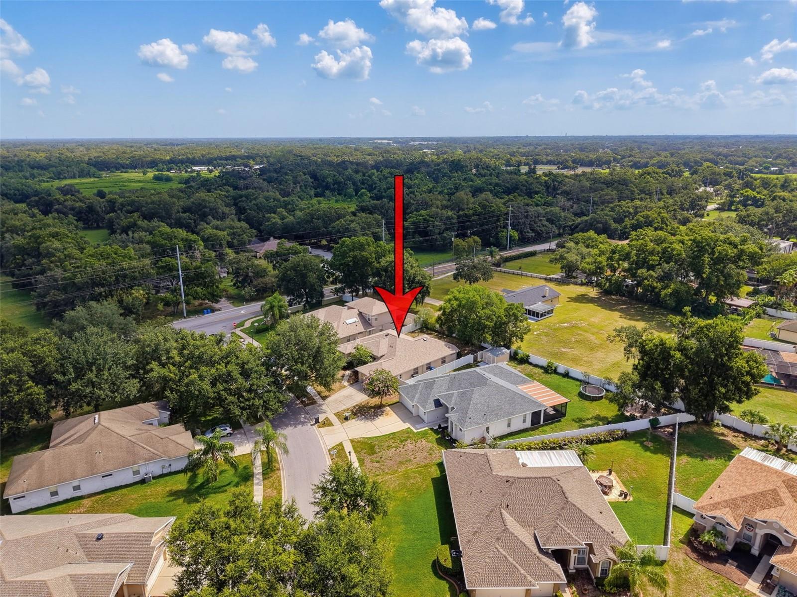 2021 RUTHERFORD DR, DOVER, FL — photo 49
