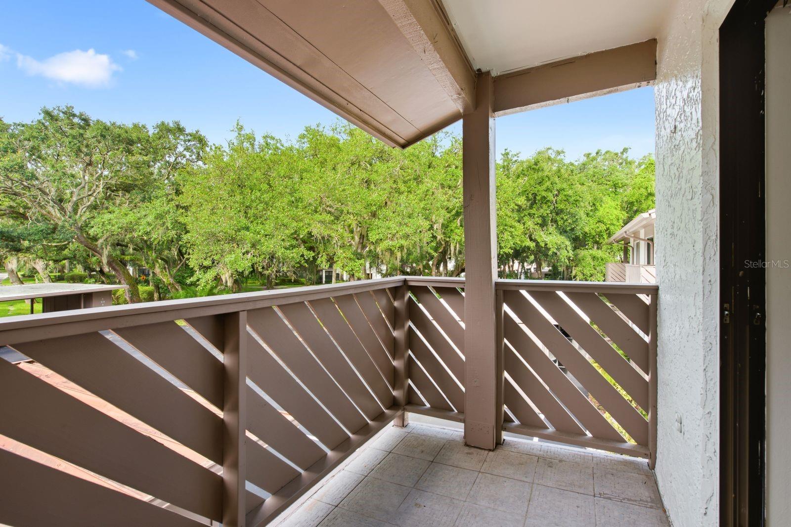 511 MISTLETOE CT #C, SAFETY HARBOR, FL — photo 19