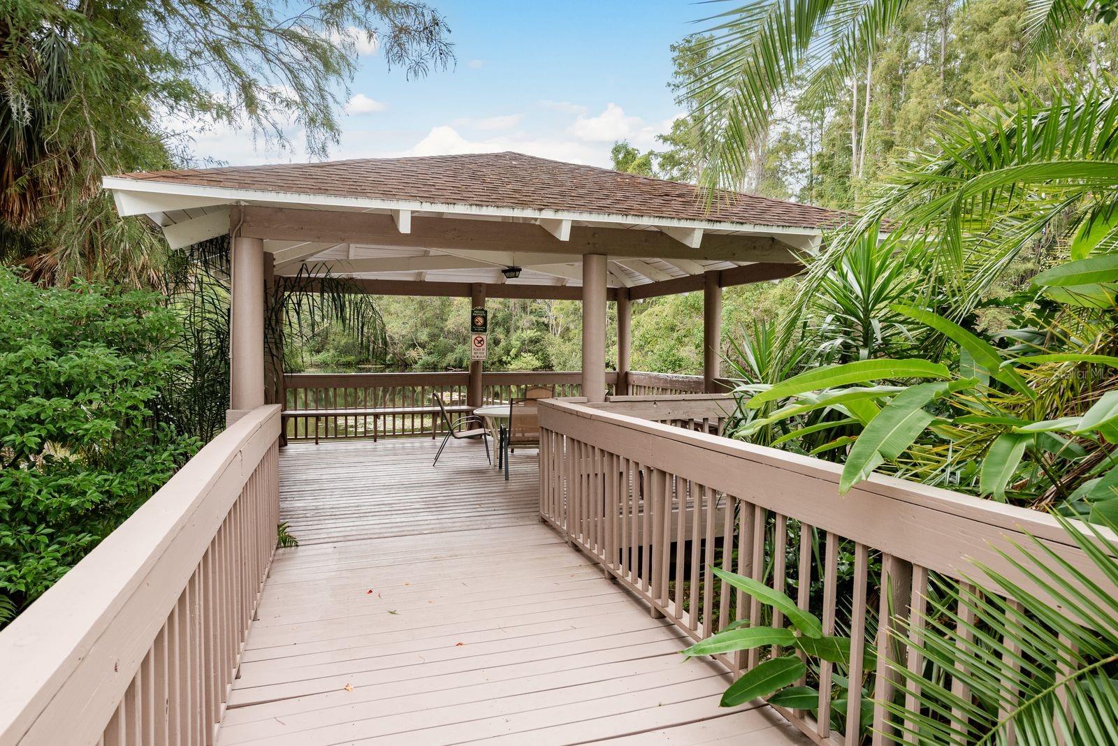 511 MISTLETOE CT #C, SAFETY HARBOR, FL — photo 26