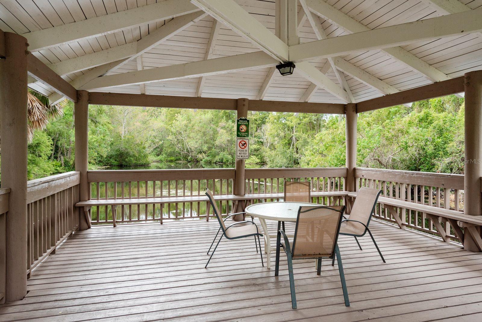 511 MISTLETOE CT #C, SAFETY HARBOR, FL — photo 27