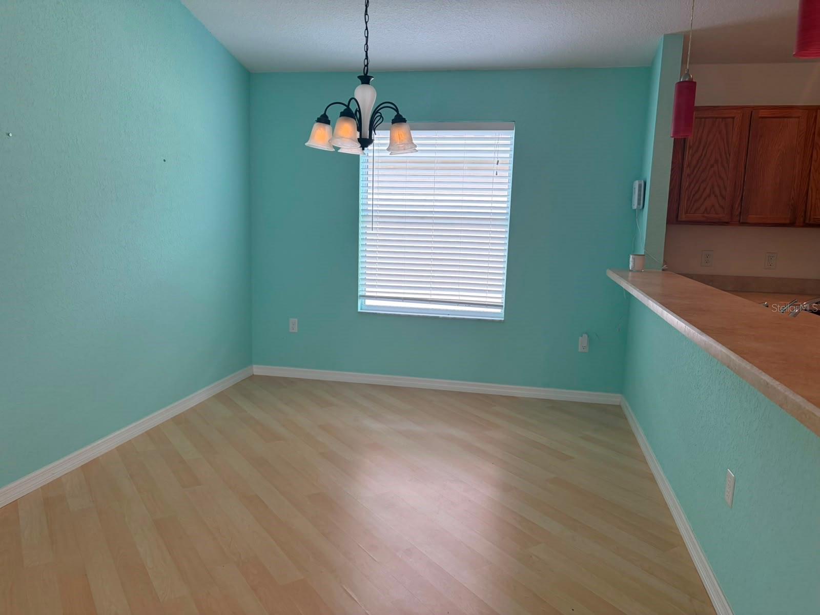 4921 NE 123RD LN, OXFORD, FL — photo 6