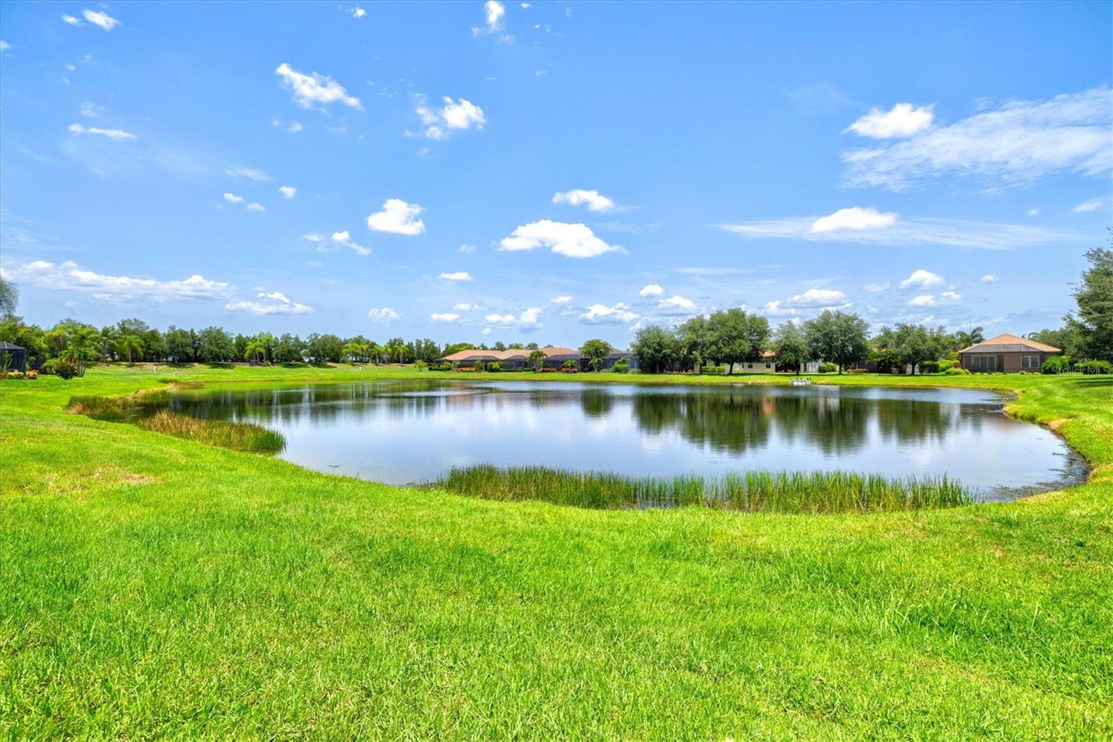 12717 DEEP BLUE PL, BRADENTON, FL — photo 22
